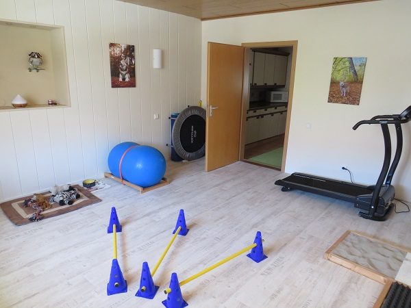 Zweiter heller Therapieraum mit Trainingsgeräten und Wohlfühlecke